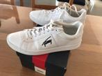 Basket Tommy, Vêtements | Hommes, Chaussures, Comme neuf