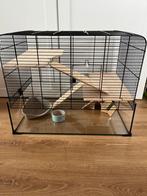 Glazen kot dwerghamster, Dieren en Toebehoren, Ophalen, Zo goed als nieuw, Kooi