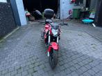 Benelli 125 cc, Motos, 1 cylindre, Naked bike, Particulier, 125 cm³
