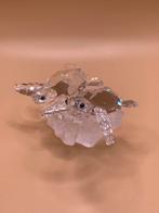 Schildpadden op rots Swarovski, Ophalen of Verzenden, Zo goed als nieuw