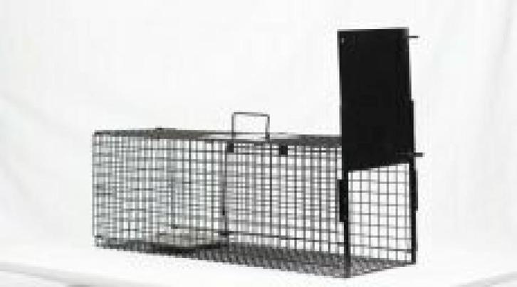 Ongediertebestrijding: Inloopval 80x25x30 Cm, Dieren en Toebehoren, Hondenhokken, Nieuw, Ophalen of Verzenden