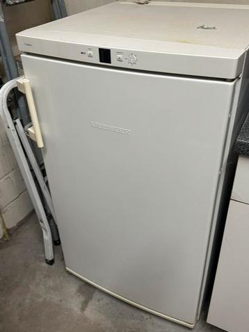 diepvries met 4 laden, Congélateur, Classe énergétique A ou plus économe, 85 à 120 cm, Enlèvement