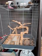 Kleine vogelkooi en accessoires, Ophalen, Zo goed als nieuw, Vogelkooi