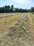 Hooi te koop, Enlèvement