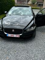 Jaguar XE, Autos, 5 places, Carnet d'entretien, Cuir, Berline