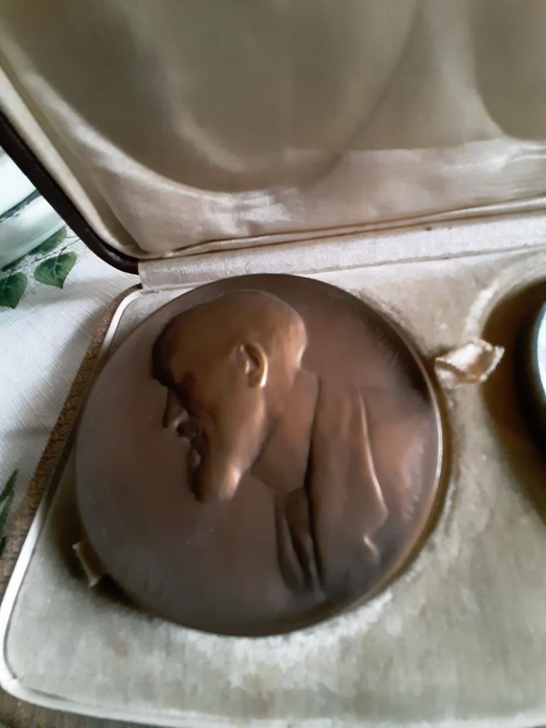 Medailles brons  (3) in lederen koffertje, Ophalen of Verzenden, Brons