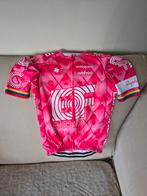 Réplique de l'EF 2025 Carapaz. Taille M, Vêtements | Hommes, Vêtements de sport, Enlèvement ou Envoi, Taille 48/50 (M)