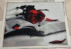 Gemaakte diamond painting 30 op 40 cm, Ophalen, Zo goed als nieuw