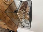 Hamsterkooi, Dieren en Toebehoren, Knaagdieren en Konijnen | Hokken en Kooien, Ophalen, Zo goed als nieuw, Kooi, Hamster