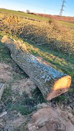 grume de noyer, Enlèvement ou Envoi, Neuf