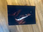 Bergom, foto’s laten afdrukken met glanzend papier, Audio, Tv en Foto, Fotografie | Fotopapier, Ophalen, Nieuw