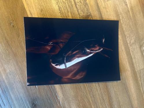 Bergom, foto’s laten afdrukken met glanzend papier, Audio, Tv en Foto, Fotografie | Fotopapier, Nieuw, Ophalen