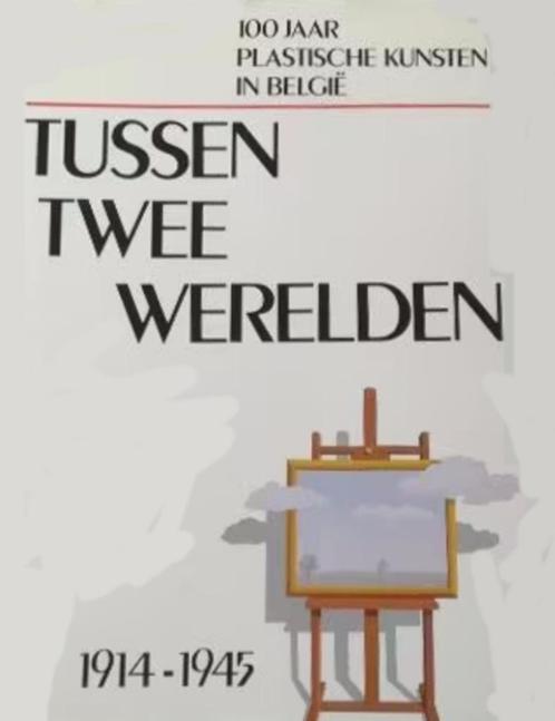100 jaar plastische kunst in belgië tussen twee werelden, Boeken, Kunst en Cultuur | Beeldend, Zo goed als nieuw, Schilder- en Tekenkunst