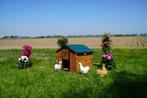 Trespa Kippenhok | Mignon L | Cucciolotta, Dieren en Toebehoren, Pluimvee | Toebehoren, Ophalen of Verzenden, Nieuw, Kippenhok of Kippenren