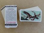 Birds of North America complete set 48 chromos uit Canada, Ophalen of Verzenden, 1960 tot 1980, Dier