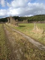 Landbouwgrond, Zakelijke goederen, Ophalen, 1 tot 5 ha, Akkerbouwbedrijf