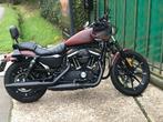 Harley Sportster Iron 883, Motos, Motos | Harley-Davidson, Particulier, Chopper