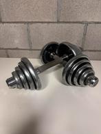 Halters 2x10kg in goede staat, Sport en Fitness, Fitnessmaterialen, Ophalen, Gebruikt, Rug, Halterset