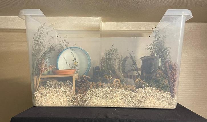 (Dwerg)hamster spullen, Dieren en Toebehoren, Knaagdieren en Konijnen | Toebehoren, Gebruikt, Overige typen, Ophalen