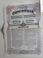 Oud aandeel Concordia 1924, Postzegels en Munten, Aandelen en Waardepapieren, 1920 tot 1950, Ophalen of Verzenden, Aandeel