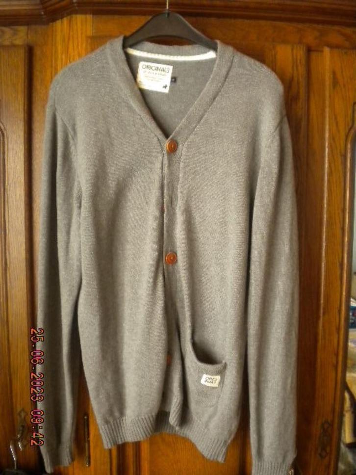 Grijsachtige vest (L), Kleding | Heren, Truien en Vesten, Ophalen