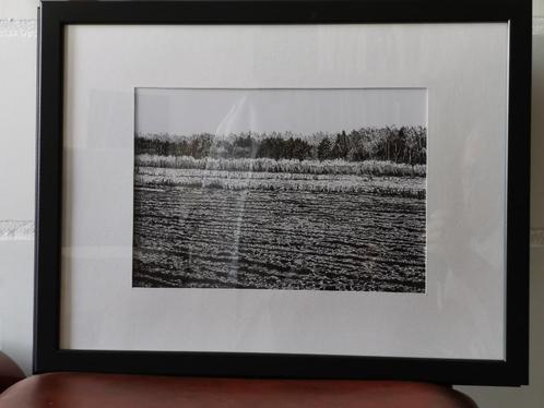 Veld in de Liereman, Antiek en Kunst, Kunst | Tekeningen en Fotografie, Ophalen
