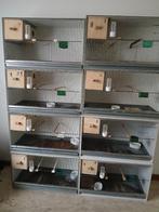 Kweekkooien pvc, Ophalen, Gebruikt, Kunststof