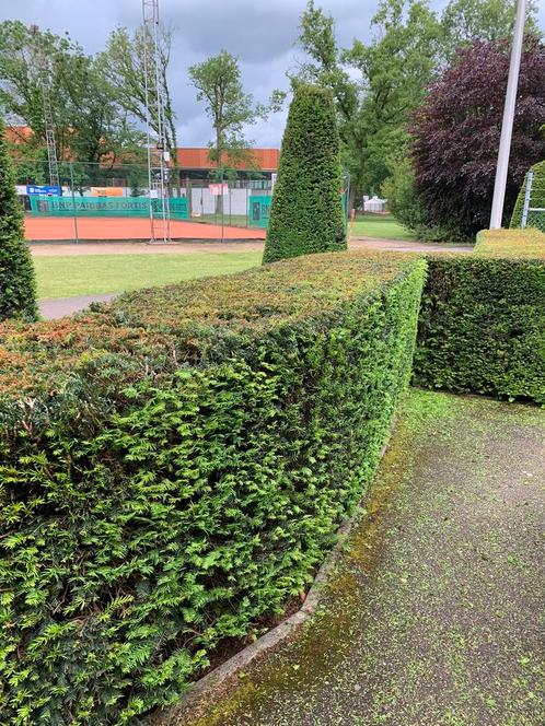 Tuinman, Diensten en Vakmensen, Tuinmannen en Stratenmakers