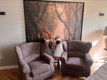 2 heerlijk zittende fauteuils beschikbaar voor biedingen
