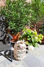 Te koop: Nieuw! Mooie gevormde lantaarn voor in de tuin., Tuin en Terras, Ophalen of Verzenden, Nieuw, Overige materialen, Staande lamp