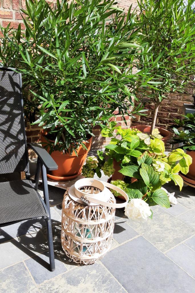 Te koop: Nieuw! Mooie gevormde lantaarn voor in de tuin., Tuin en Terras, Buitenverlichting, Nieuw, Staande lamp, Overige materialen