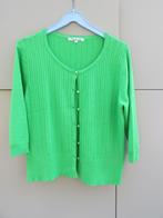 Fris groen truitje maat L, Kleding | Dames, Sweet soda, Maat 42/44 (L), Ophalen of Verzenden, Zo goed als nieuw