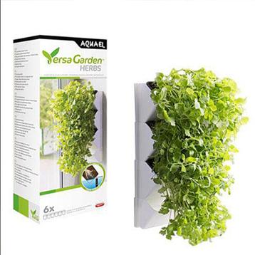 Mur végétal - VERSA GARDEN HERBS Blanc - AQUAEL beschikbaar voor biedingen