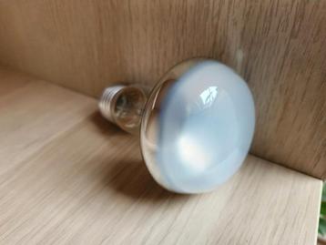 ZoomEd Basking spotverwarmingslamp 40W beschikbaar voor biedingen