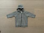 Grijs Vestje van H&M (Maat 74 /6-9 maand), Kinderen en Baby's, Gebruikt, Truitje of Vestje, Ophalen of Verzenden, H&M.