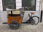 Babboe Curve Bakfiets (Niet elektrisch), Ophalen, Gebruikt, 4 kinderen of meer, Elektrisch