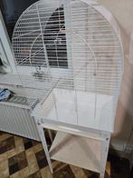 Cage perruche, Enlèvement, Comme neuf, Cage à oiseaux