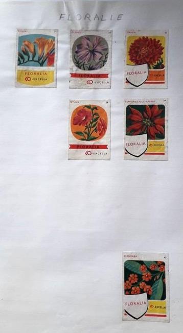 Lot van 12 etiketten van lucifersdoosjes - "Floralia"  beschikbaar voor biedingen