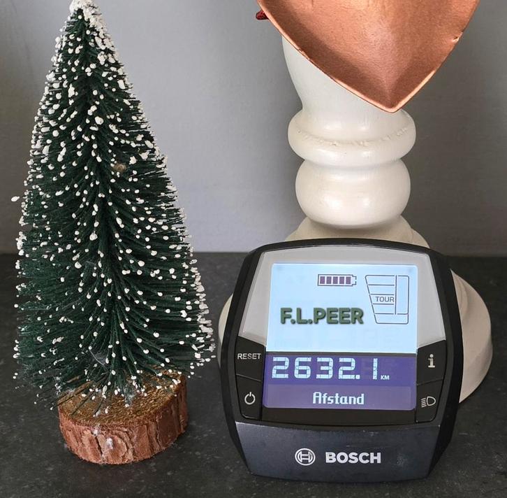 Display intuvia bosch fietscomputer, Vélos & Vélomoteurs, Accessoires vélo | Compteurs de vélo, Enlèvement