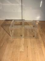 mierenboerderij buitenwerelden, Mieren