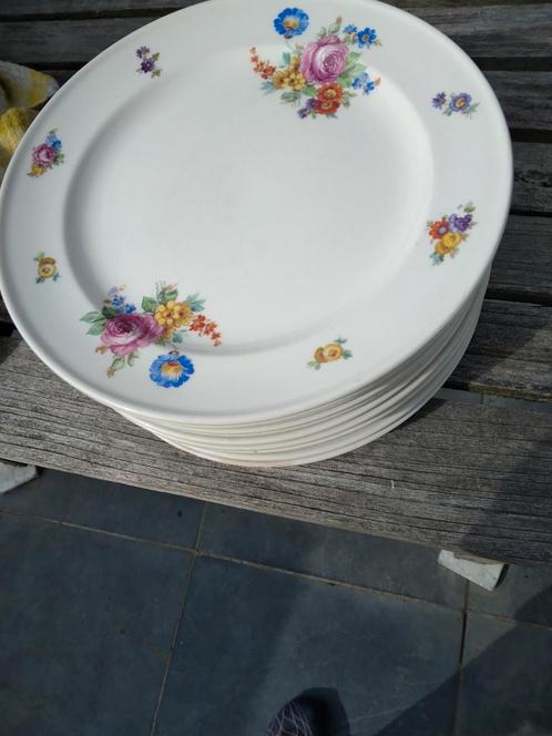 Losse borden 50stuks p regout, Antiek en Kunst, Antiek | Servies los, Ophalen