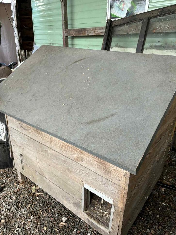 Buiten hok, Dieren en Toebehoren, Pluimvee | Toebehoren, Zo goed als nieuw, Ophalen