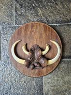Mega grote wild zwijn tanden op eiken schild jacht mancave, Ophalen of Verzenden, Wild dier, Overige typen