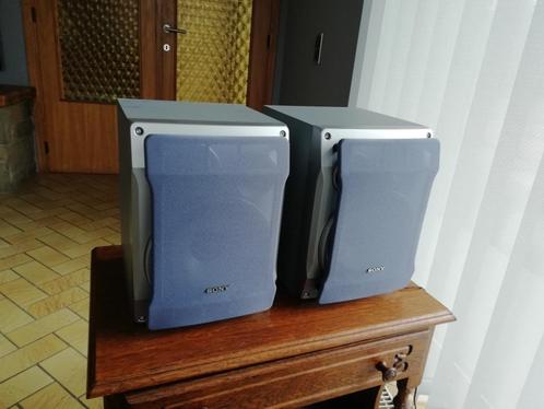 Paar Sony baffles - model SS-SCL5 zilver. Goede conditie, Audio, Tv en Foto, Luidsprekerboxen, Gebruikt, Sony, Ophalen