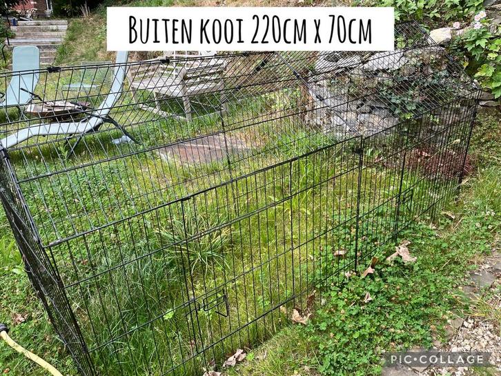 Groote cavia kooien, Dieren en Toebehoren, Knaagdieren en Konijnen | Hokken en Kooien, Kooi, 60 tot 90 cm, 110 cm of meer, Cavia