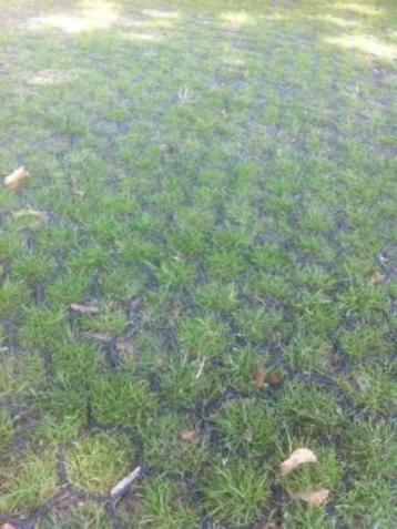 Grastegel grasdallen tegel gras parkeren  beschikbaar voor biedingen