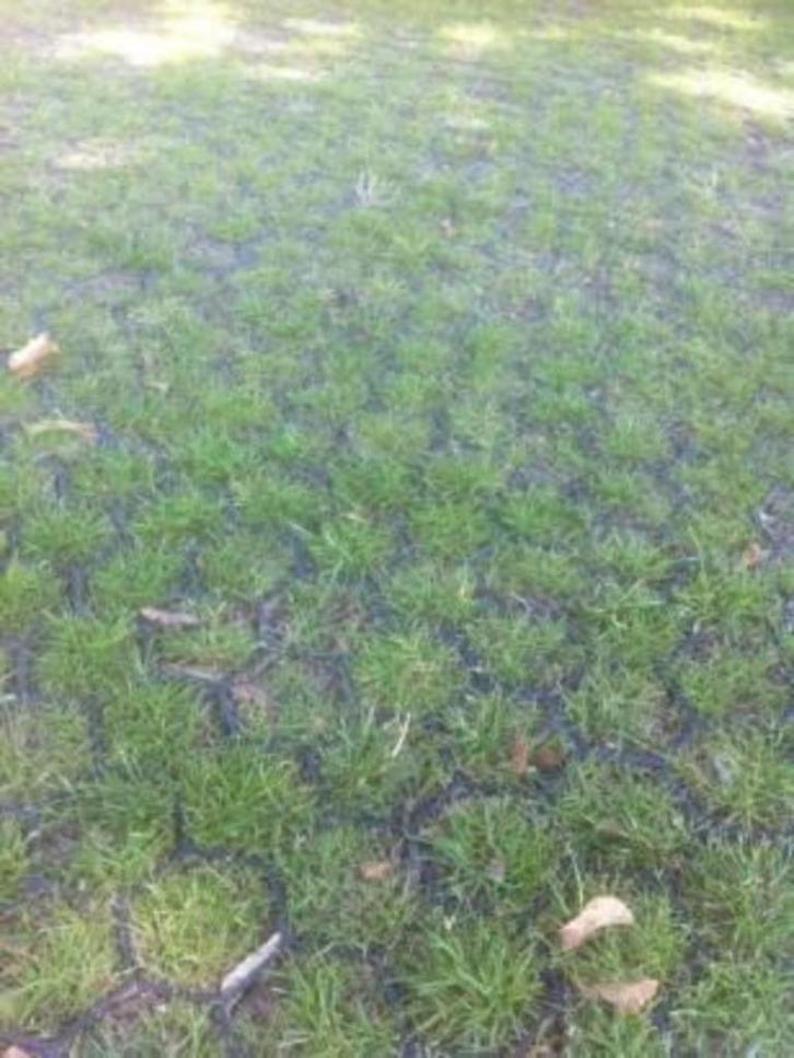 Grastegel grasdallen tegel gras parkeren, Tuin en Terras, Gras en Kunstgras, Nieuw, Gras, Ophalen of Verzenden