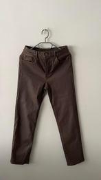 Nieuwe bruine MASSIMO DUTTI rechte M broek, Kleding | Dames, Broeken en Pantalons, Nieuw, Ophalen of Verzenden, Lang, Bruin