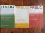 Freud, Lacan, Derrida, Kristeva, Pontalis, Green, enz., Boeken, Filosofie, Ophalen of Verzenden, Gelezen
