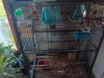 Cage plus oiseaux, Animaux & Accessoires, Comme neuf, Cage à oiseaux
